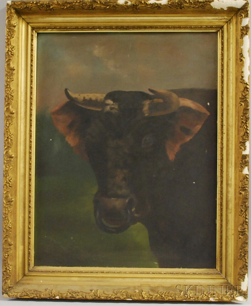 Appraisal: American School th Century Portrait Head of a Bull Unsigned