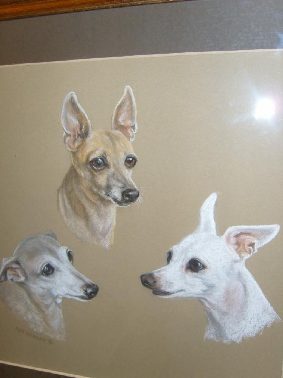 Appraisal: A pastel study of the heads of three Italian greyhounds