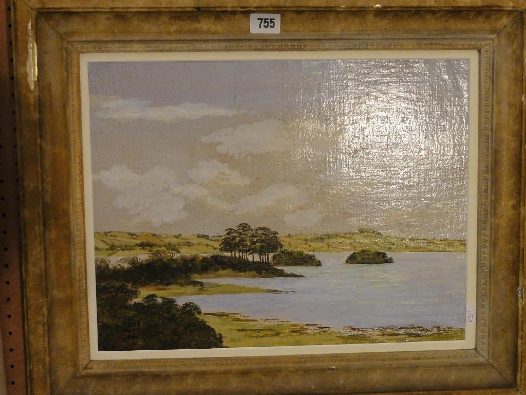 Appraisal: An oil painting on board of a landscape with lake