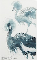 Appraisal: David Rankin American Ohio born Crowned Cranes Original watercolor on