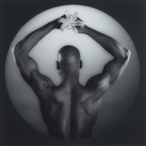 Appraisal: Robert Mapplethorpe - KEN MOODY WITH ORCHID MAP American Silver