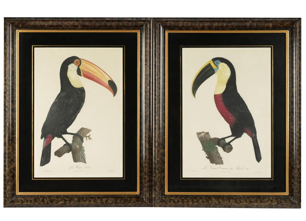 Appraisal: AFTER JACQUES BARRABAND - TWO TOUCAN PRINTSLe Grand Toucan de