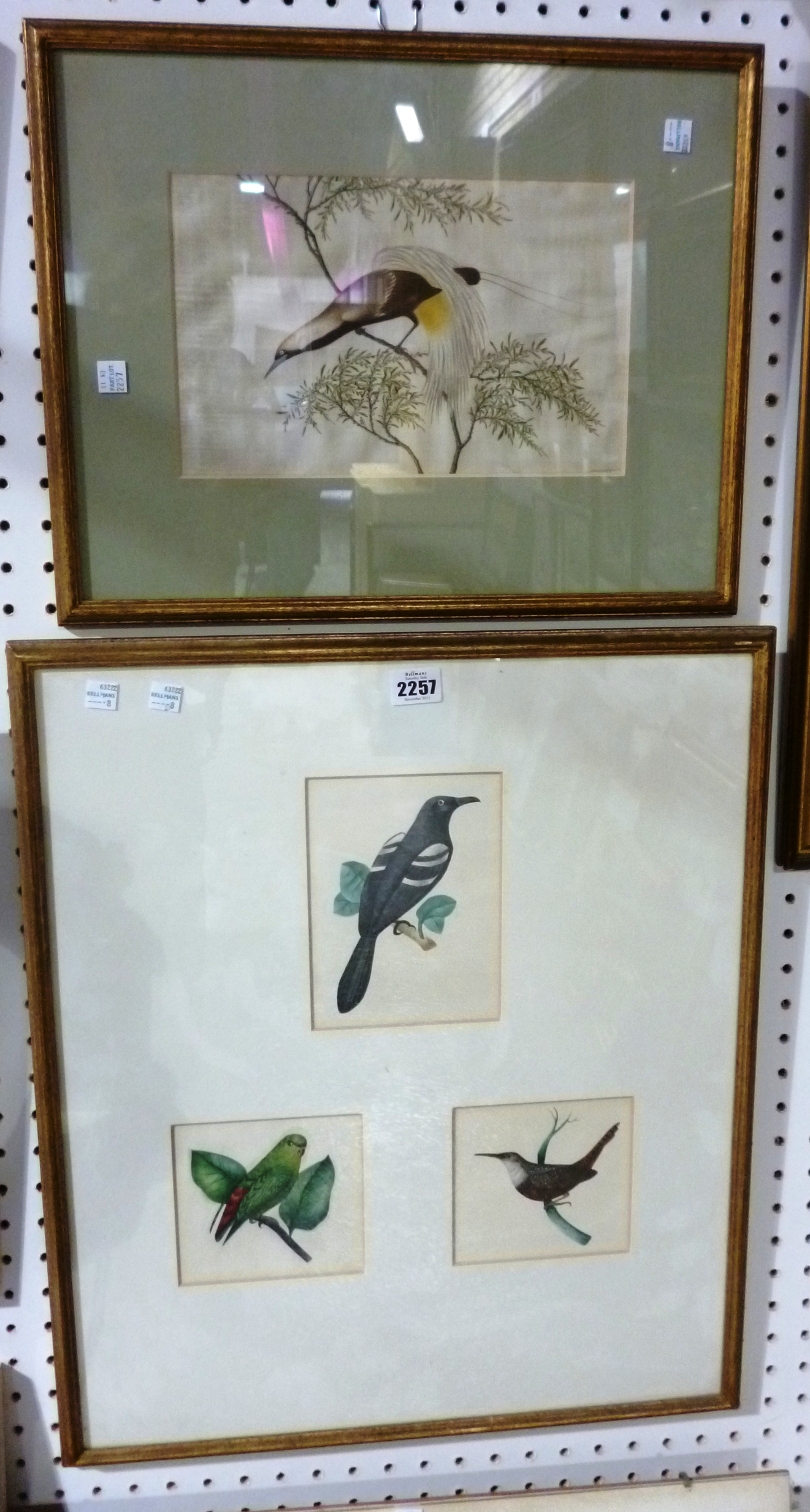 Appraisal: Colonial School th century Bird studies three framed as one