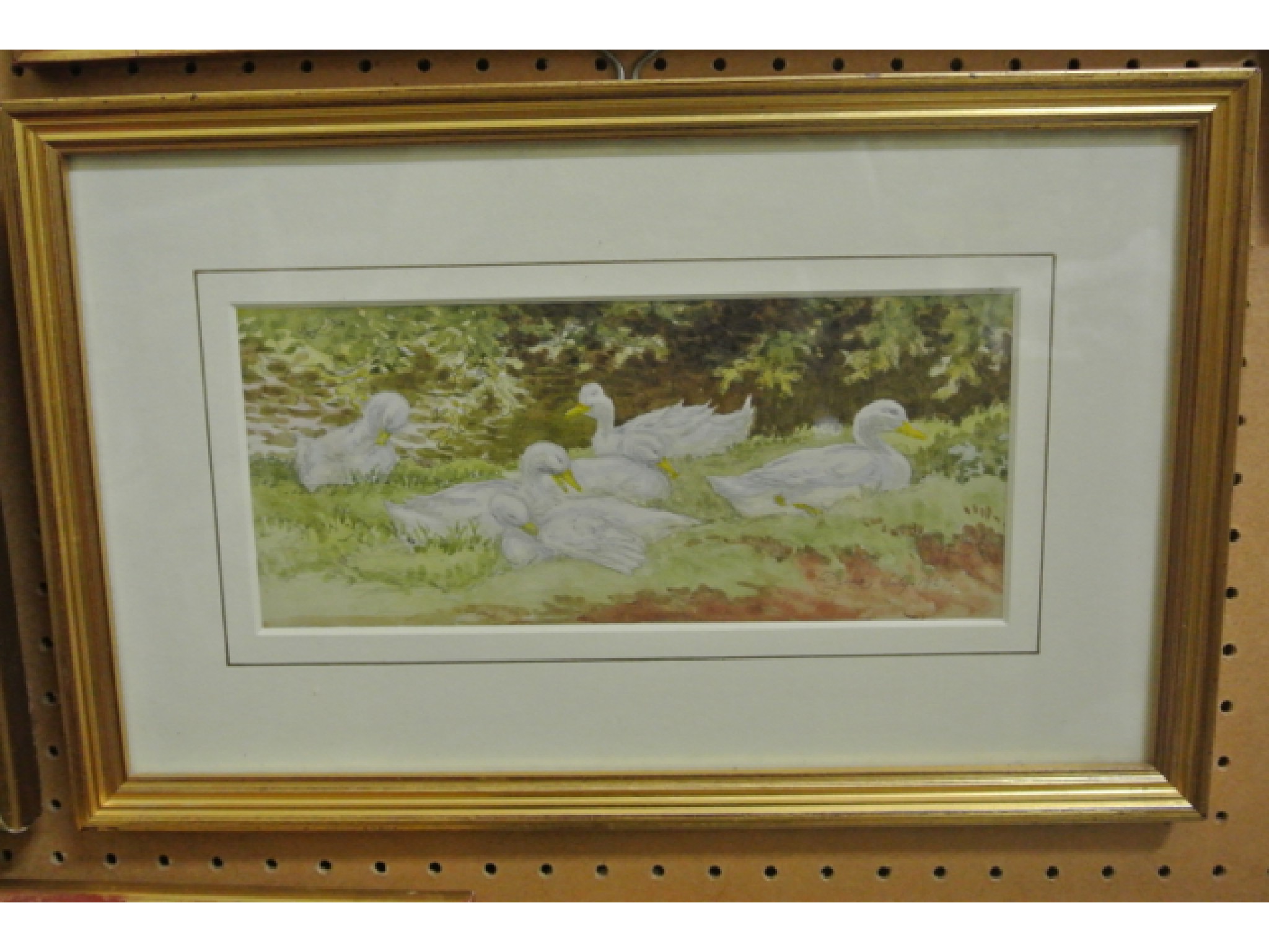 Appraisal: A watercolour showing a group of six white ducks resting