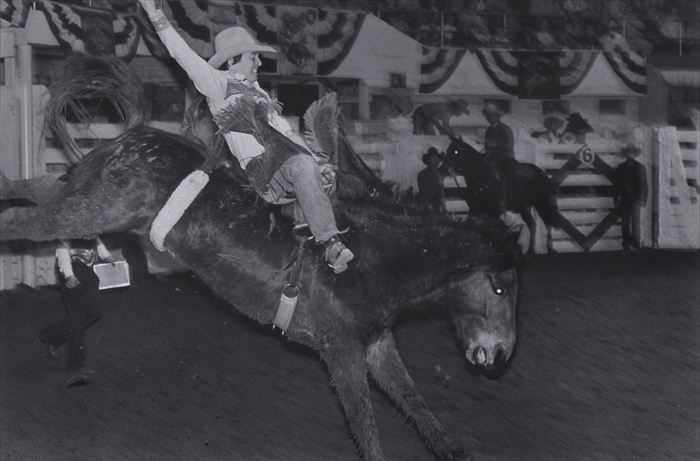 Appraisal: GARRY WINOGRAND - RODEO BUCKING BRONCOS Gelatin silver print x