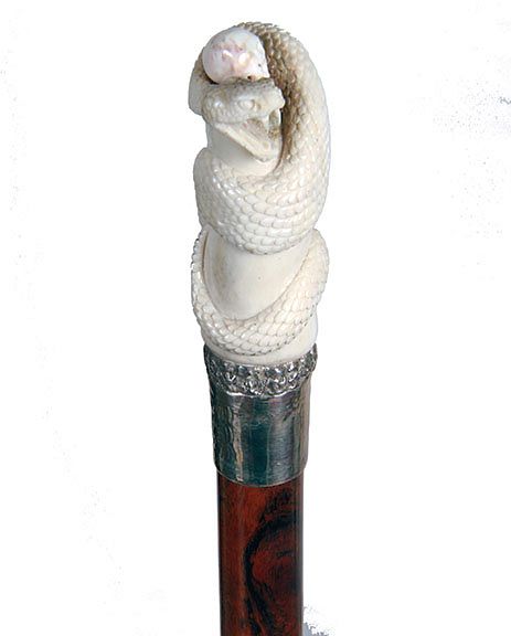 Appraisal: Stag Skull and Snake Cane th Century- A stag handle