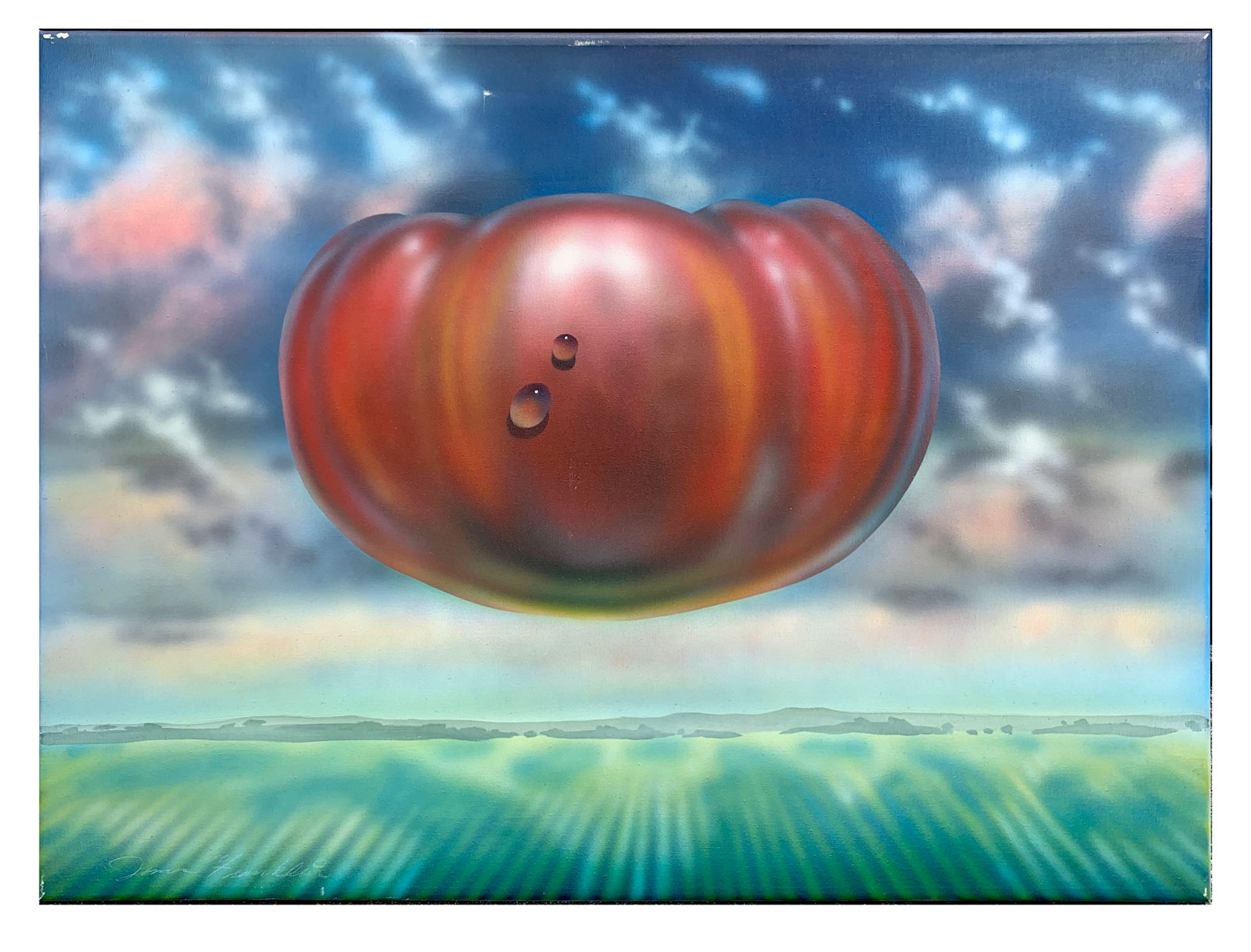 Appraisal: FRANKLIN Jim American - Flying Tomato Acrylic Canvas '' x