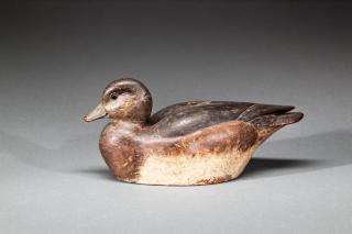 Appraisal: Wigeon Hen Walter Pelzer - Milwaukee WI c Pelzer was