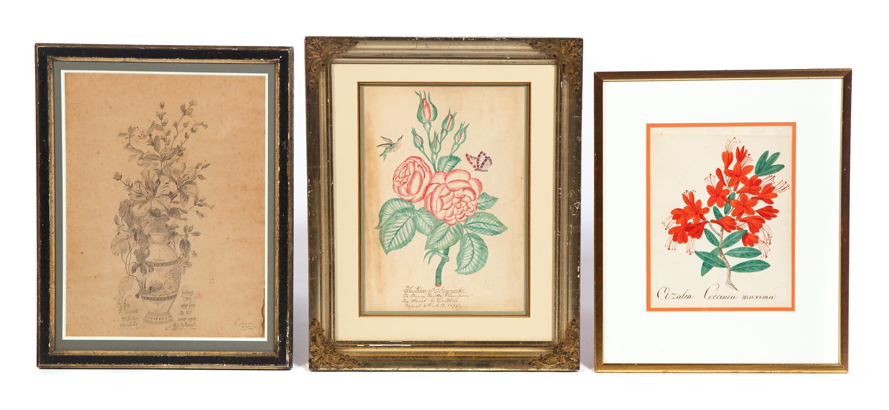 Appraisal: THREE HAND DONE BOTANICALS American th century A watercolor azalea