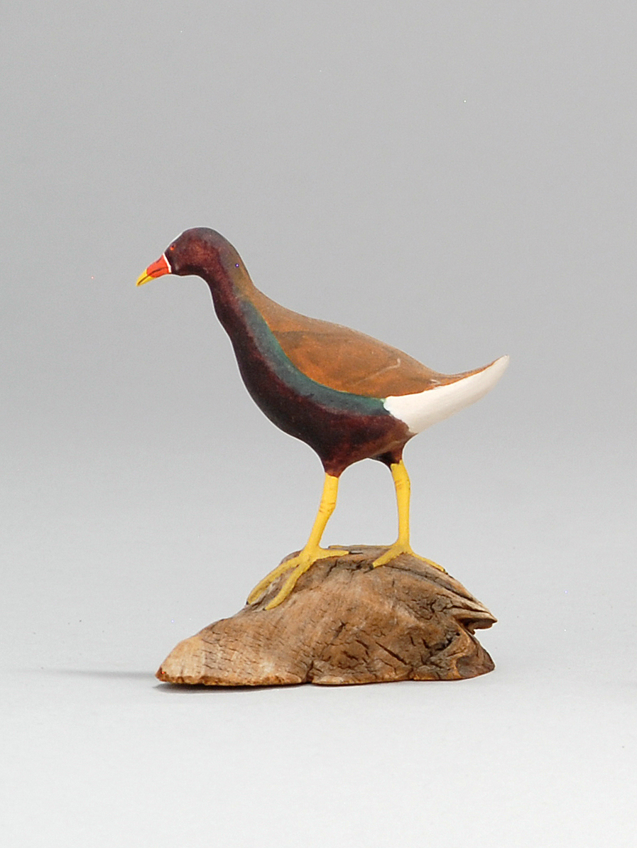 Appraisal: MINIATURE PURPLE GALLINULE By Harold Gibbs of Barrington Rhode Island