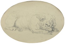 Appraisal: Geraldine Saent-Johns American Ohio th Century Sleeping bulldog Graphite on