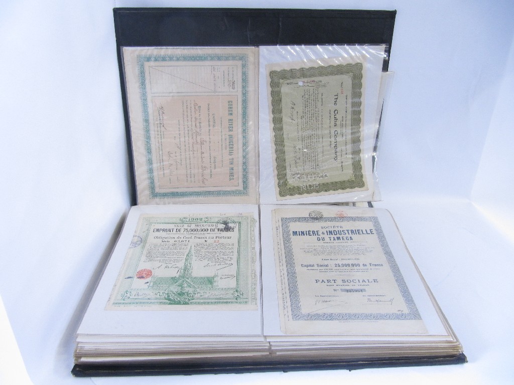 Appraisal: A large album of assorted stocks and share certificates