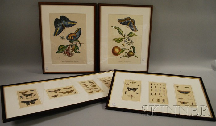 Appraisal: Nine Colored Butterfly and Moth Subject Bookplates in four frames