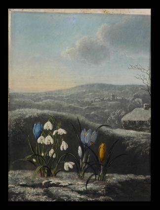 Appraisal: ROBERT THORNTON - EDITOR THE TEMPLE OF FLORA Snowdrops and