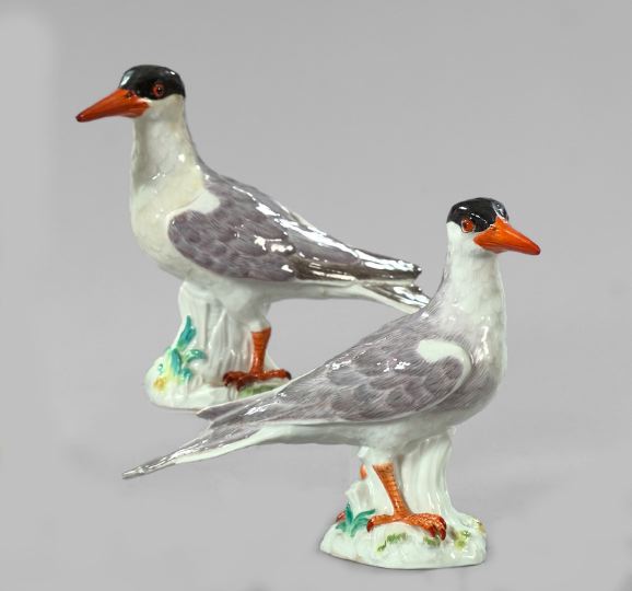 Appraisal: Good Pair of Meissen Porcelain Figures of Magpies fourth quarter