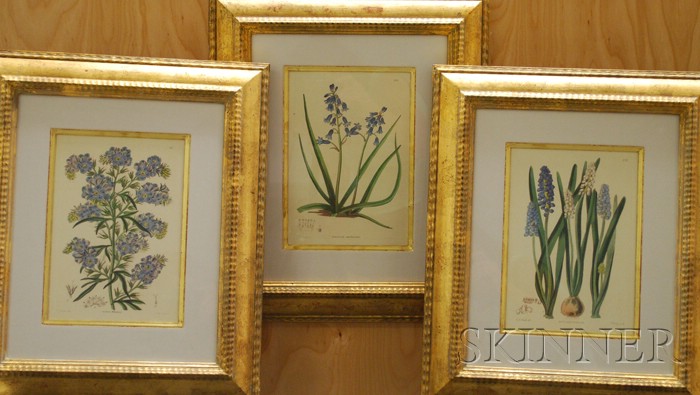 Appraisal: Lot of Eight Botanical Photomechanical Reproductions