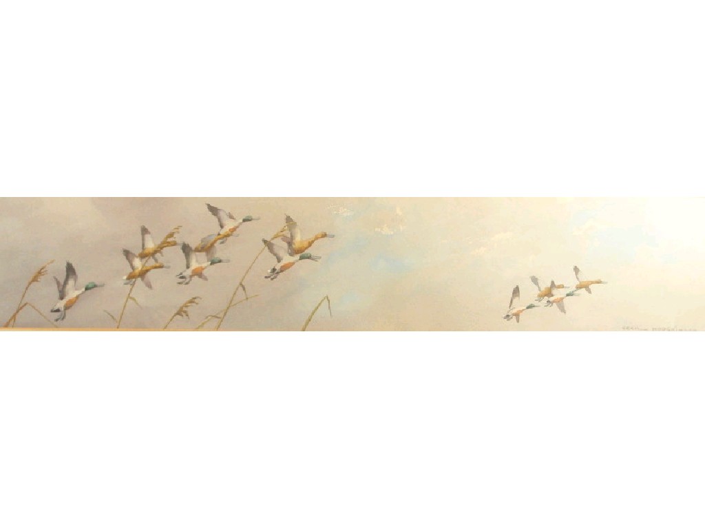 Appraisal: Cecil Hodgkinson - Shovellers in flight watercolour signed x