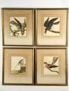 Appraisal: HAND COLORED COPPERPLATE ENGRAVINGS - Ornithological portraits by Francois Nicholas