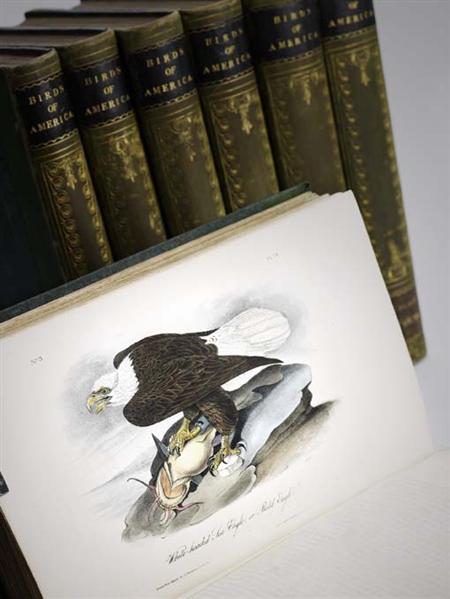 Appraisal: Audubon John James The birds of America from drawings made