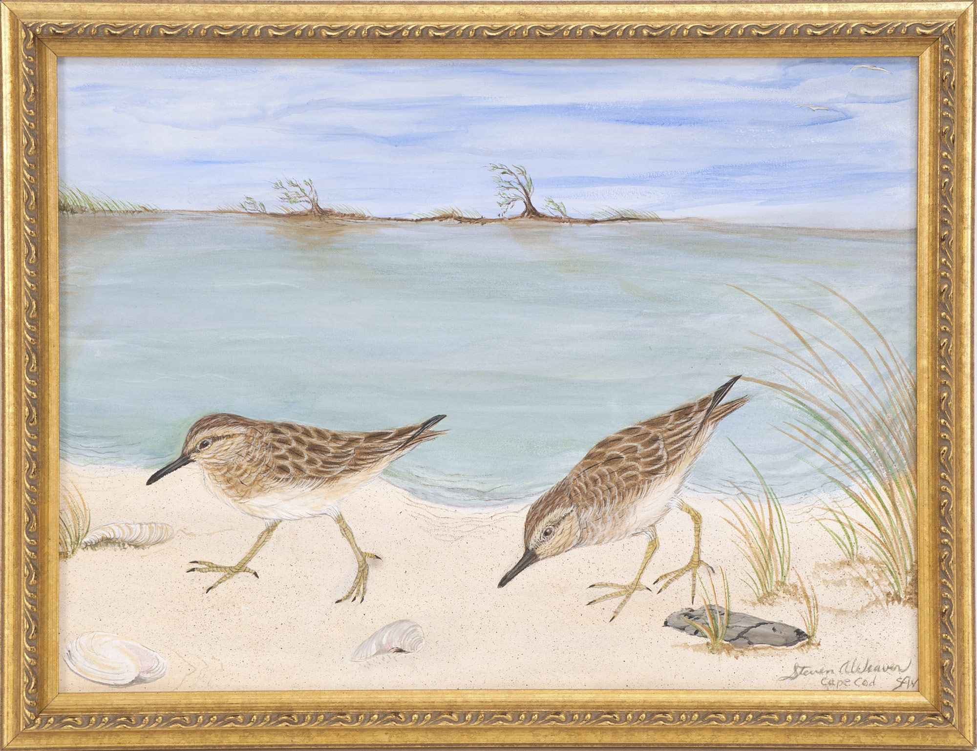 Appraisal: FRAMED PAINTING ContemporaryTwo sandpipers Signed lower right Steve A Weaver