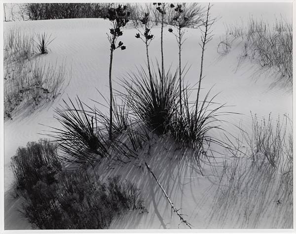 Appraisal: Brett Weston American - White Sands New Mexico Gelatin silver