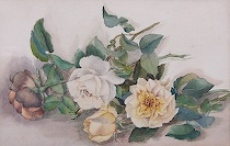 Appraisal: Unknown Artist Cut flower still life Watercolor on paper unsigned