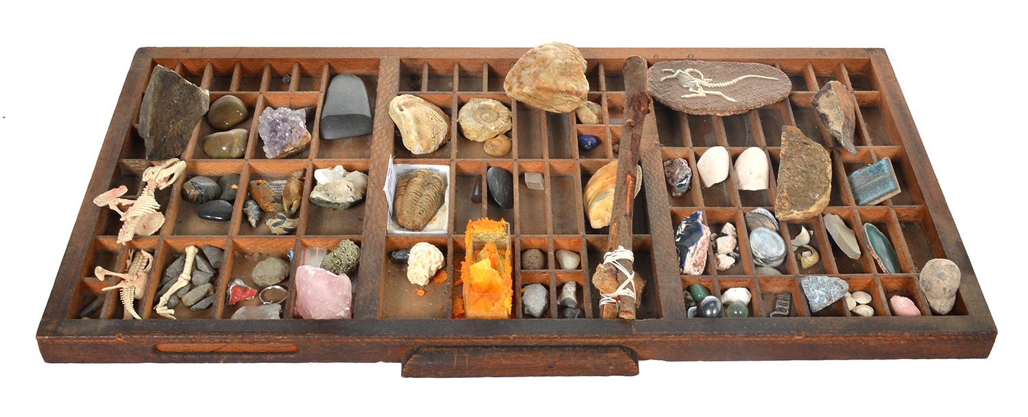 Appraisal: A COLLECTION OF STONE AND MINERAL SAMPLES IN A SEGMENTED