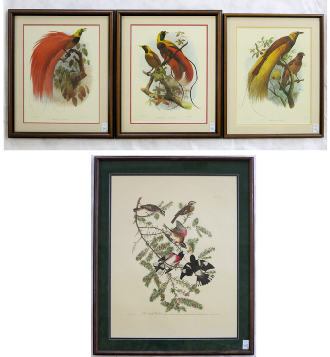 Appraisal: FOUR ORNITHOLOGICAL OFF-SET LITHOGRAPHS Three after J Wolf and J