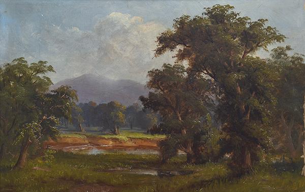 Appraisal: ARTIST UNKNOWN In Tasmania On The Derwent oil on board