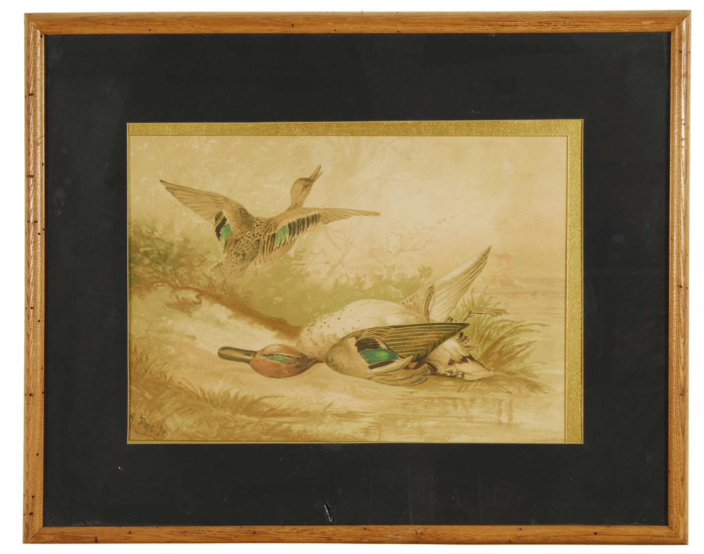 Appraisal: TWO FRAMED ALEXANDER POPE COLORED LITHOGRAPHS One of mallards and