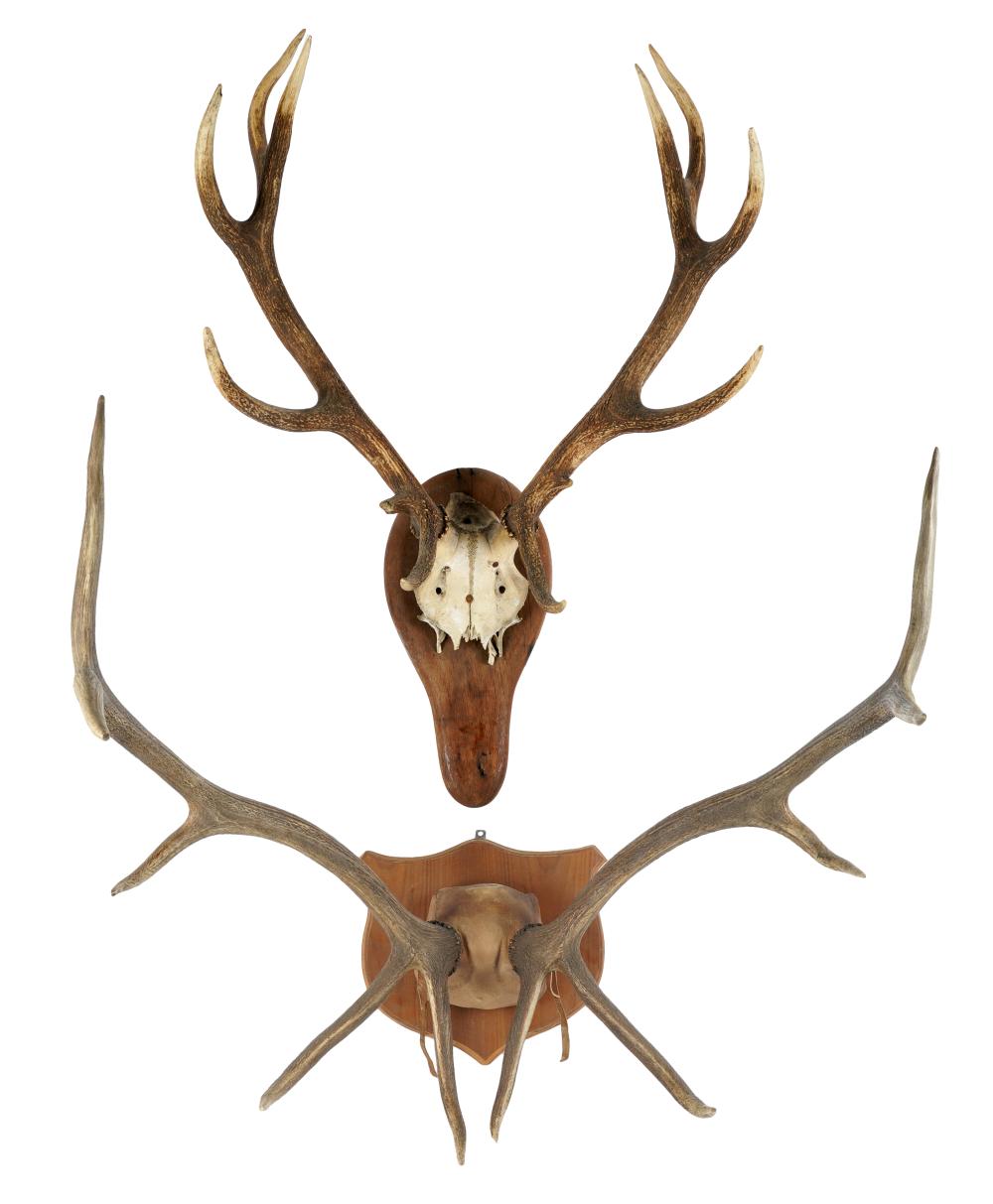 Appraisal: TWO DEER ANTLER WALL MOUNTSeach on wooden panel one inches