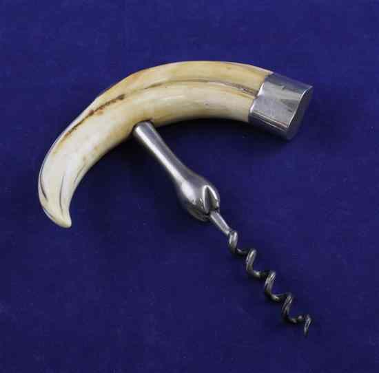 Appraisal: A George V silver and ivory mounted corkscrew with tusk