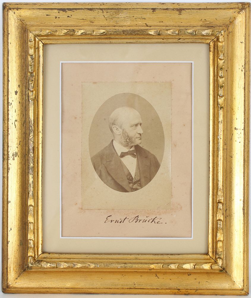 Appraisal: Photo w Signature of Ernst Wilhelm von Brucke th Century