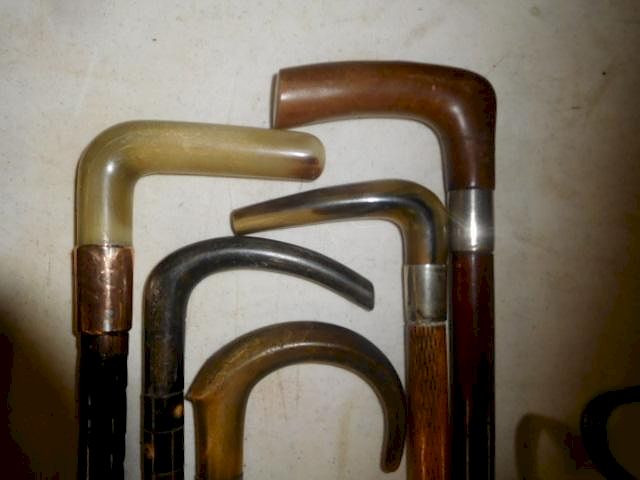 Appraisal: Group of Five Horn Canes Group of Five Horn Canes