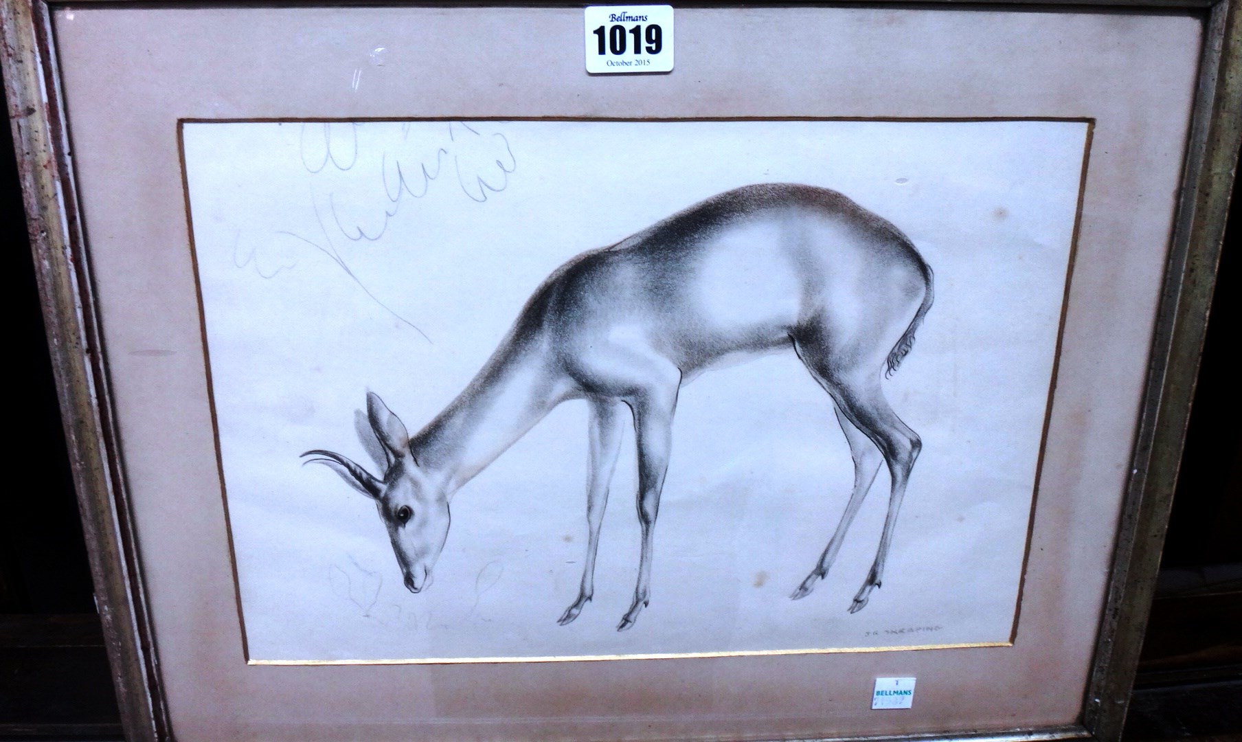 Appraisal: John Rattenbury Skeaping - Grazing deer pencil and brown chalk