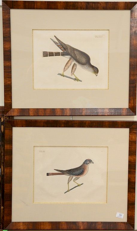 Appraisal: Mark Catesby - pair of hand colored copper engravings The