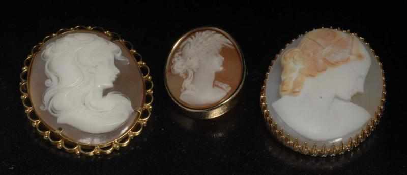 Appraisal: Lot of Y Gold Shell Cameo Pins Description Includes one