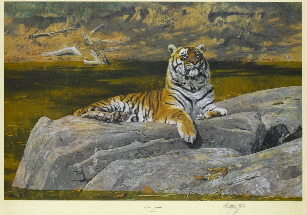 Appraisal: ANTHONY GIBBS - - QUIZZICAL QUADRUPED WHITE TIGERS EVER WATCHFUL