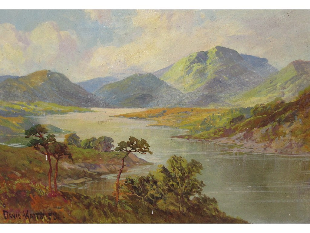 Appraisal: Oil on board loch scene signed David Watts