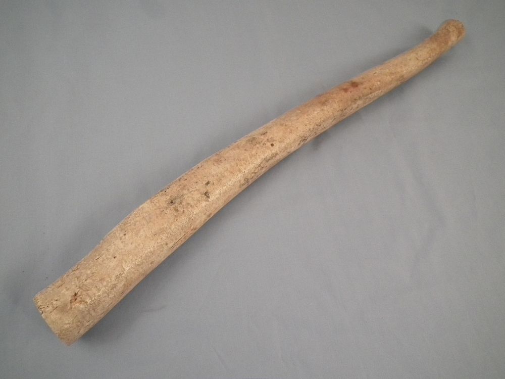 Appraisal: WALRUS BACULUM Fossilized walrus baculum or penis bone known as