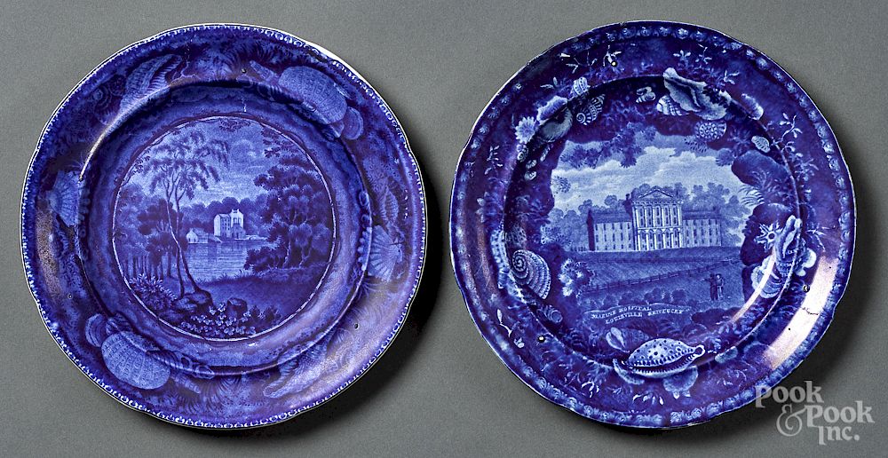 Appraisal: Two Historical Blue Staffordshire plates Two Historical Blue Staffordshire plates