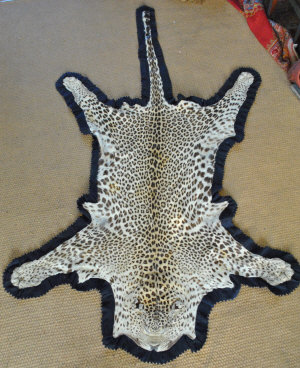 Appraisal: A Leopard skin rug by Van Ingen Van Ingen Mysore