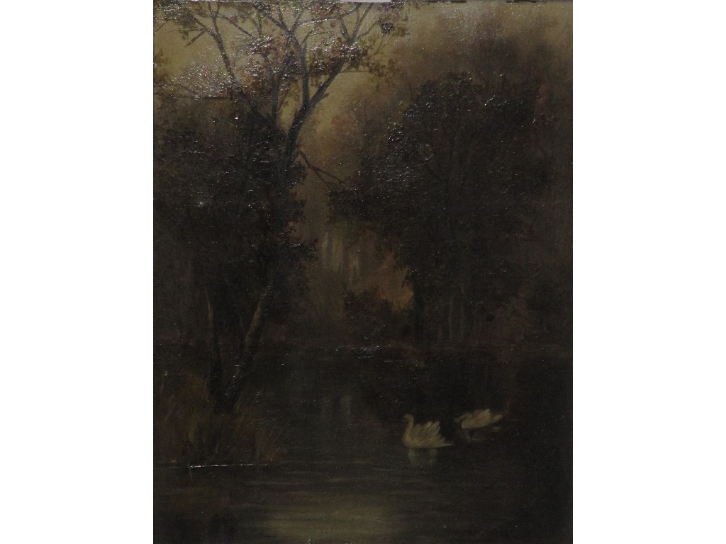 Appraisal: Oil on board of swans on a woodland lake