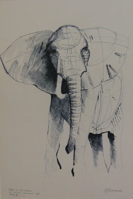 Appraisal: Graeme Townsend born Study of Bull Elephant for MEPC commission