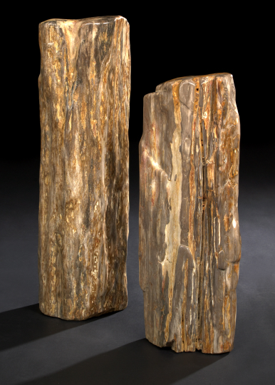 Appraisal: Specimen Petrified Wood Log the mineralized tree trunk in variegated