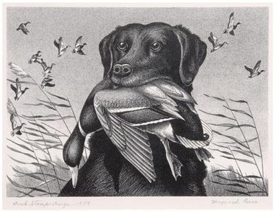 Appraisal: Reece Federal duck stamp print King Buck or Labrador Retriever