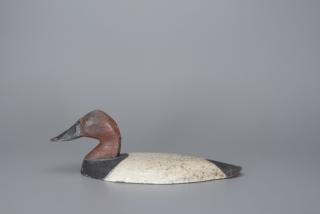 Appraisal: Canvasback Wing Duck Canvasback Wing Duck Upper Chesapeake Bay Maryland