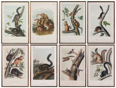 Appraisal: After John James Audubon New York - Eight Octavo Edition