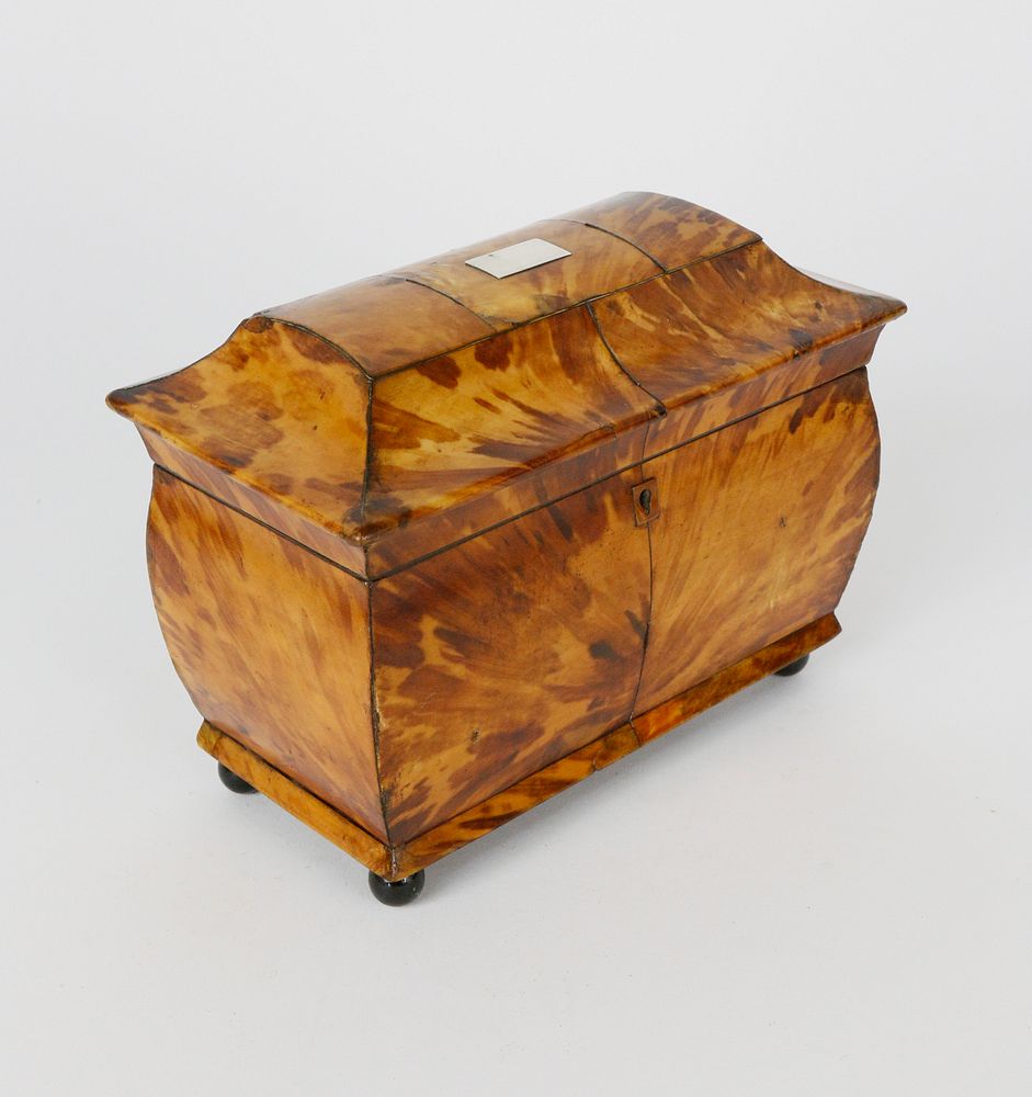 Appraisal: English Regency Tortoiseshell Double Compartment Tea Caddy th c th