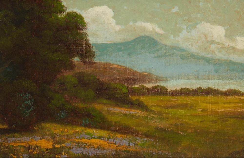 Appraisal: th Century American School Wildflower landscape with mountain in the